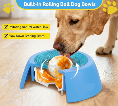 Pet Hydration Bowl