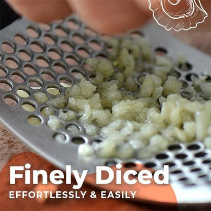 Special Offer Now) Stainless Steel Garlic Presser