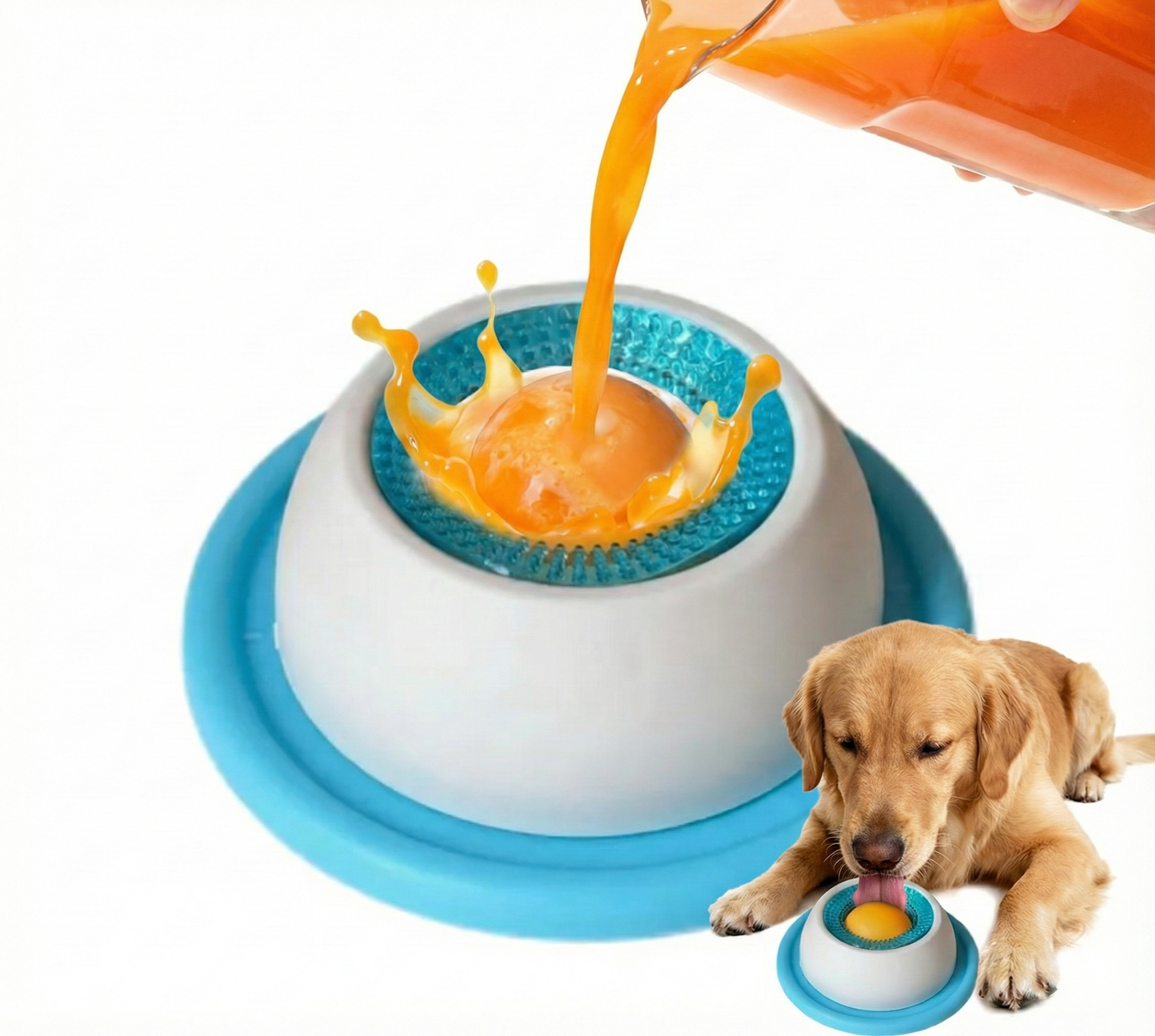 Pet Hydration Bowl
