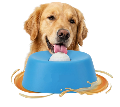 Pet Hydration Bowl