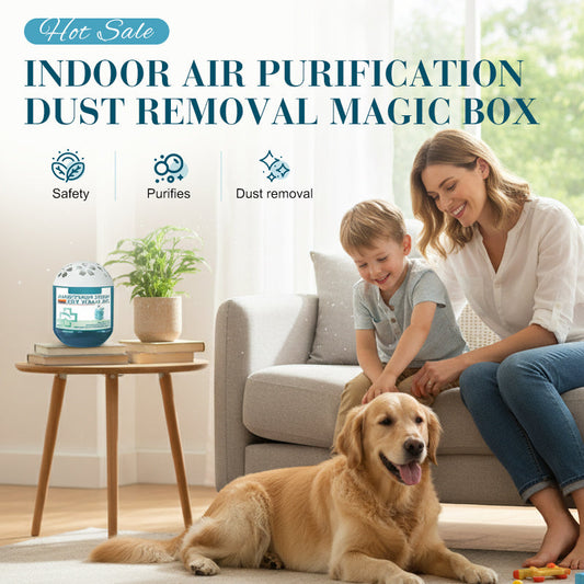⏰Indoor Air Purification Dust Removal Magic Box🏠🌿
