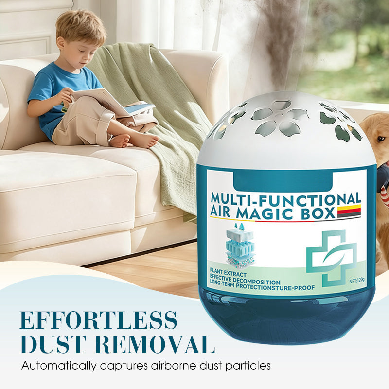 ⏰Indoor Air Purification Dust Removal Magic Box🏠🌿