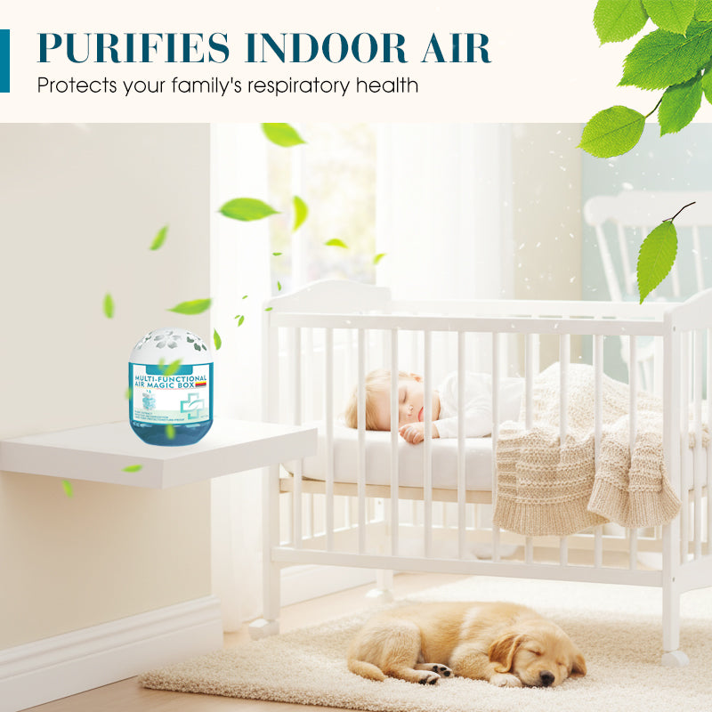 ⏰Indoor Air Purification Dust Removal Magic Box🏠🌿