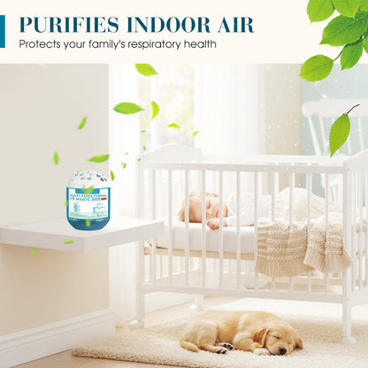 ⏰Indoor Air Purification Dust Removal Magic Box🏠🌿