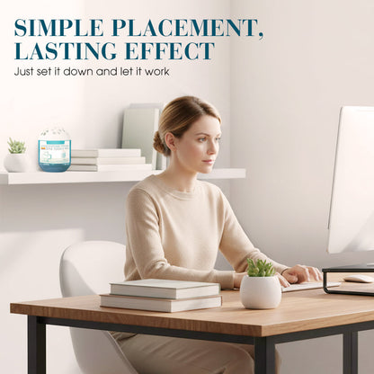 ⏰Indoor Air Purification Dust Removal Magic Box🏠🌿