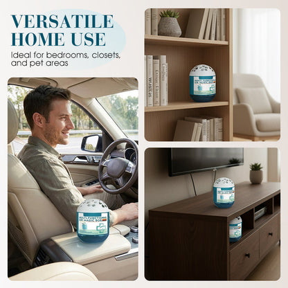 ⏰Indoor Air Purification Dust Removal Magic Box🏠🌿